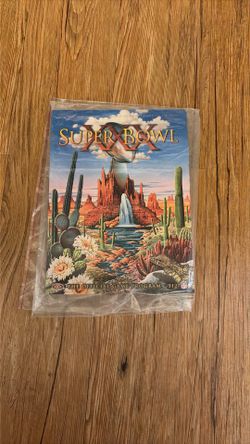 Super Bowl Game Program