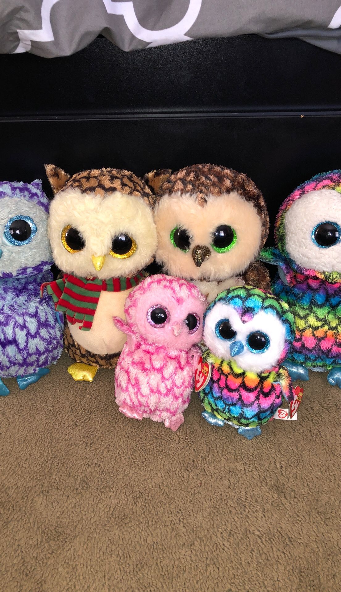 TY beanie boo owl stuffed animals