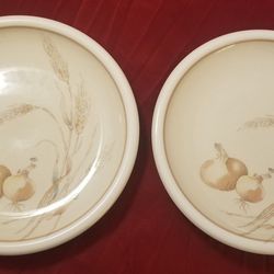China Set of 2 Epoch AUTUMN HARVEST Dinner Plates