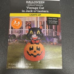 Halloween Airblown Inflatable Cat In Jack-o-lantern