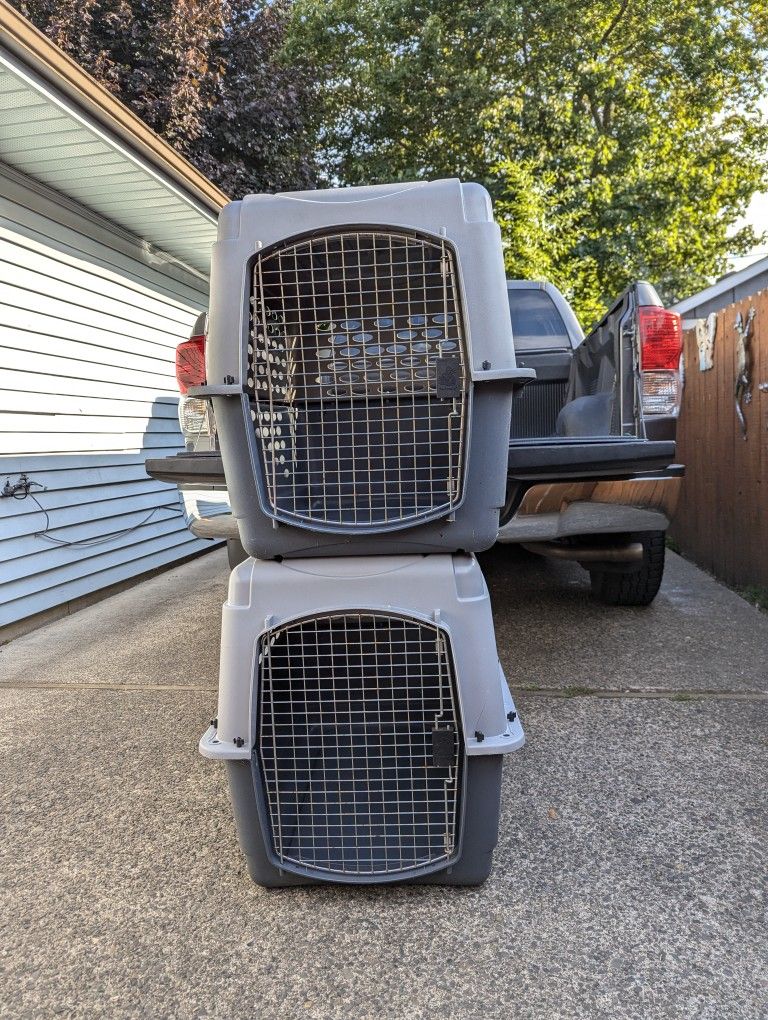 2 Dog Kennels