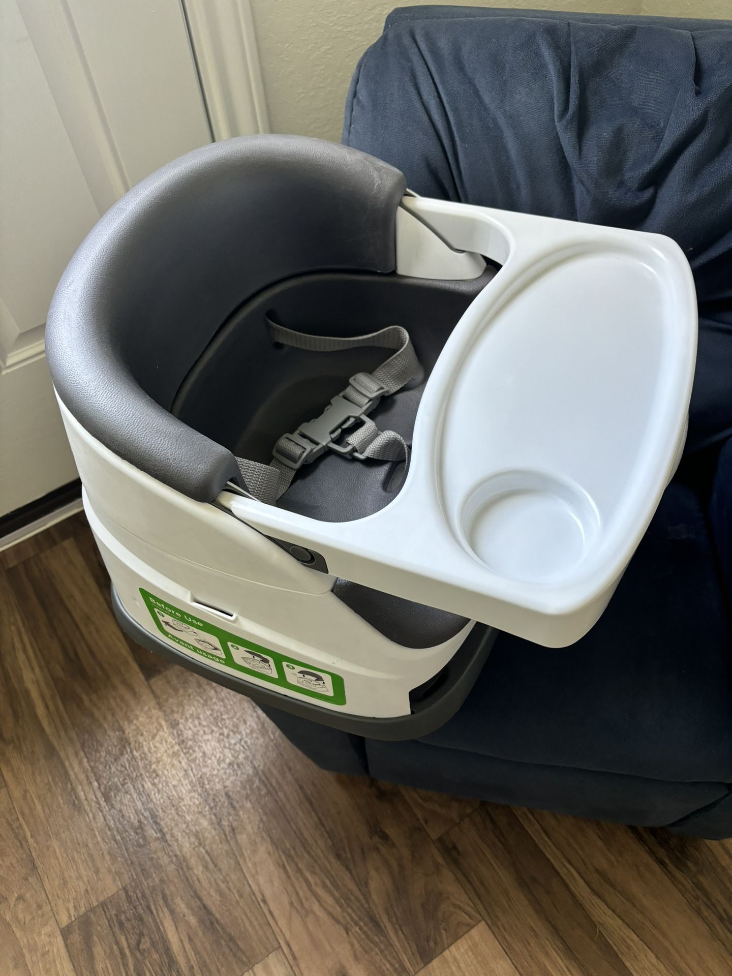 Ingenuity Booster Seat