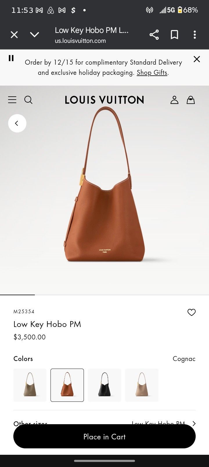 Louis Vuitton Low-key Hobo Bag PM Authentic