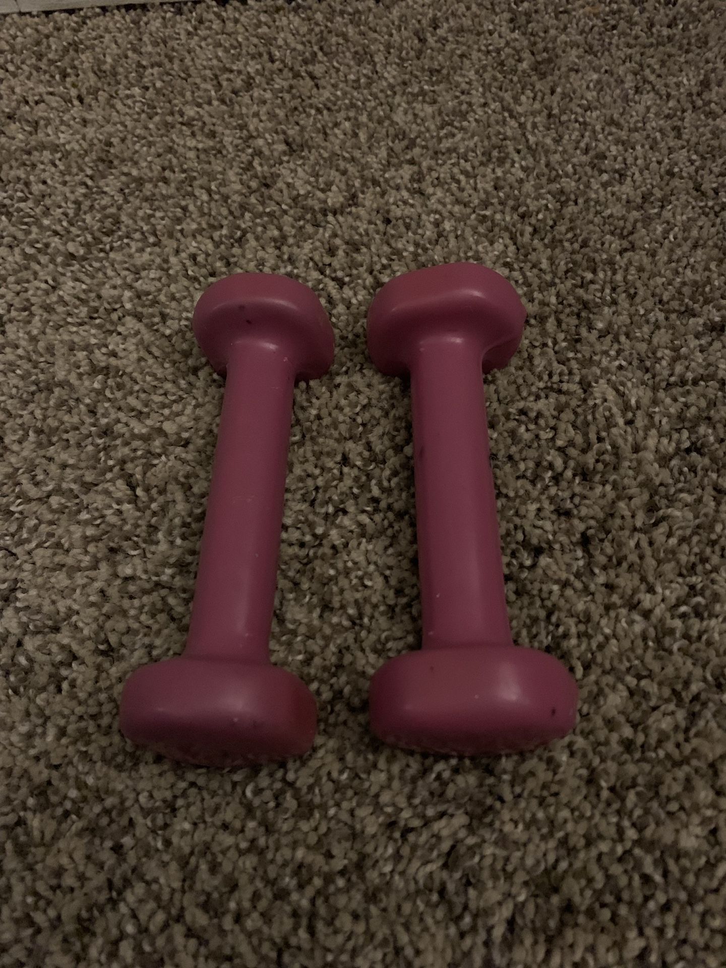 1 lb weights