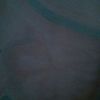 Nazaly