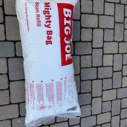 Free - Large Bag to refill bean Bag