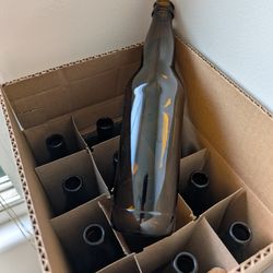 22oz Beer Bottles