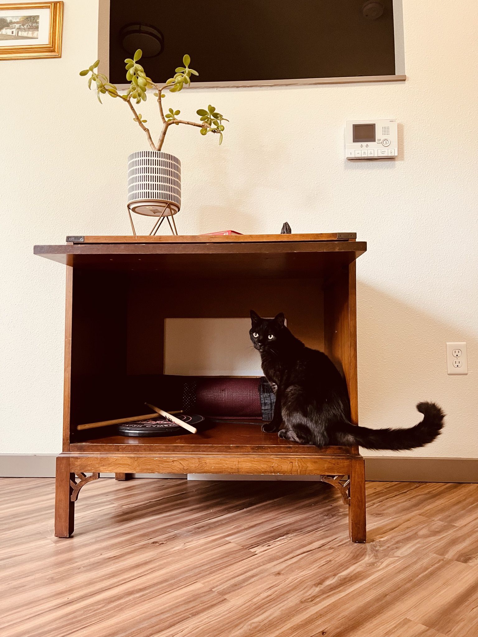 Vintage  Chest With Brass