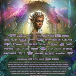 2 Decadence AZ GA Wristbands(2-Day) with afters passes 