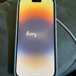 iPhone 14 Pro Max