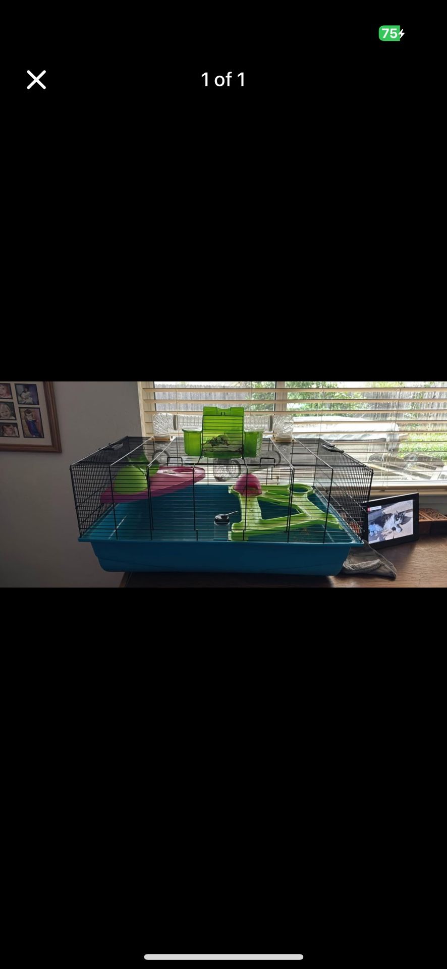 Hamster Cage