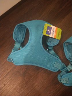 Dog Harness