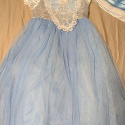 Princess Dresses