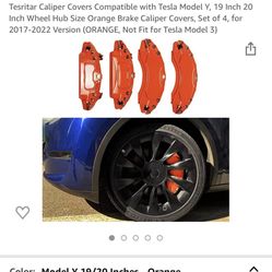 Tesla Caliper  Cover