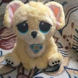 Rescue Pets, Wake Me Up