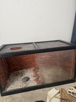 Homemade Beardy Tank