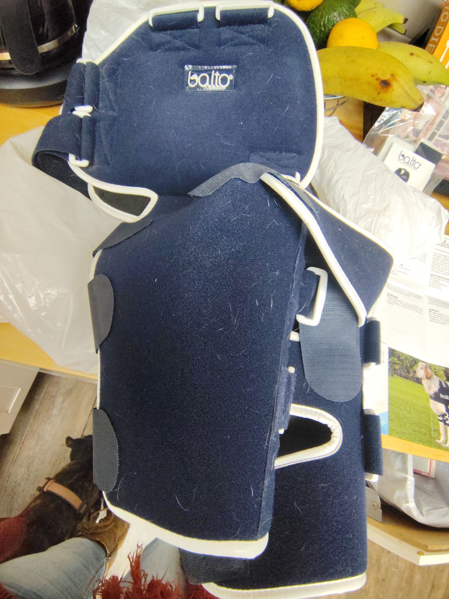 Balto Shoulder brace for large dogs