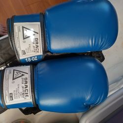 Official Gracie Jiujitsu Fight Sim 18oz Boxing Gloves
