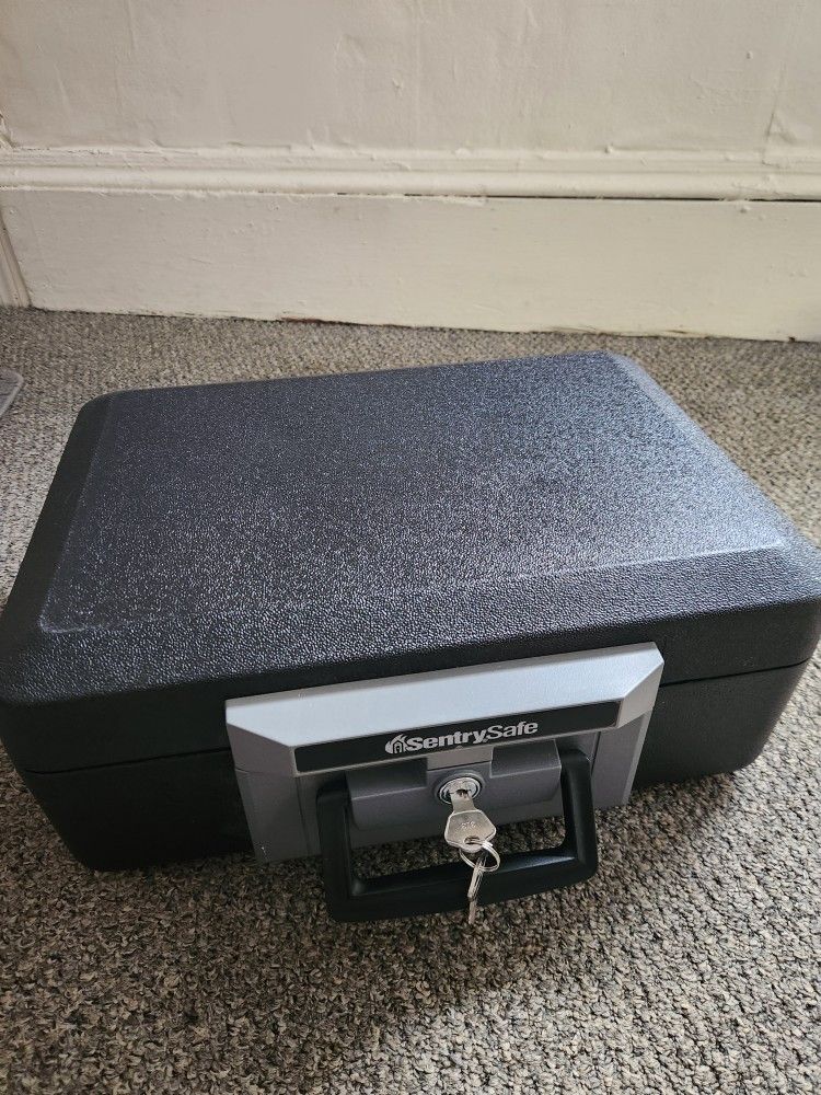 SentrySafe Fireproof Safe Box with Key Lock, 0.25 Cubic Feet, 6.3 x 15.3 x 12.1 Inches