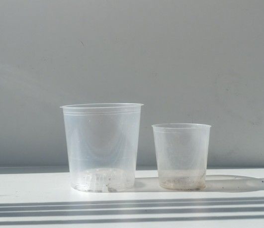 Pair Set Of 2 Clear Orchid Plant Planter/ Flower Pot/ Plant Pot Patio Garden