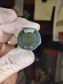 2013 Canada Toonie 2 dollar coin