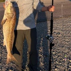 Custom Shark/Drum Leaders