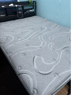 Mattress and boxspring for sale. (Pickup only)