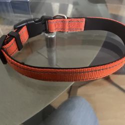 Dog Collar