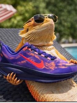 Nike 11.5