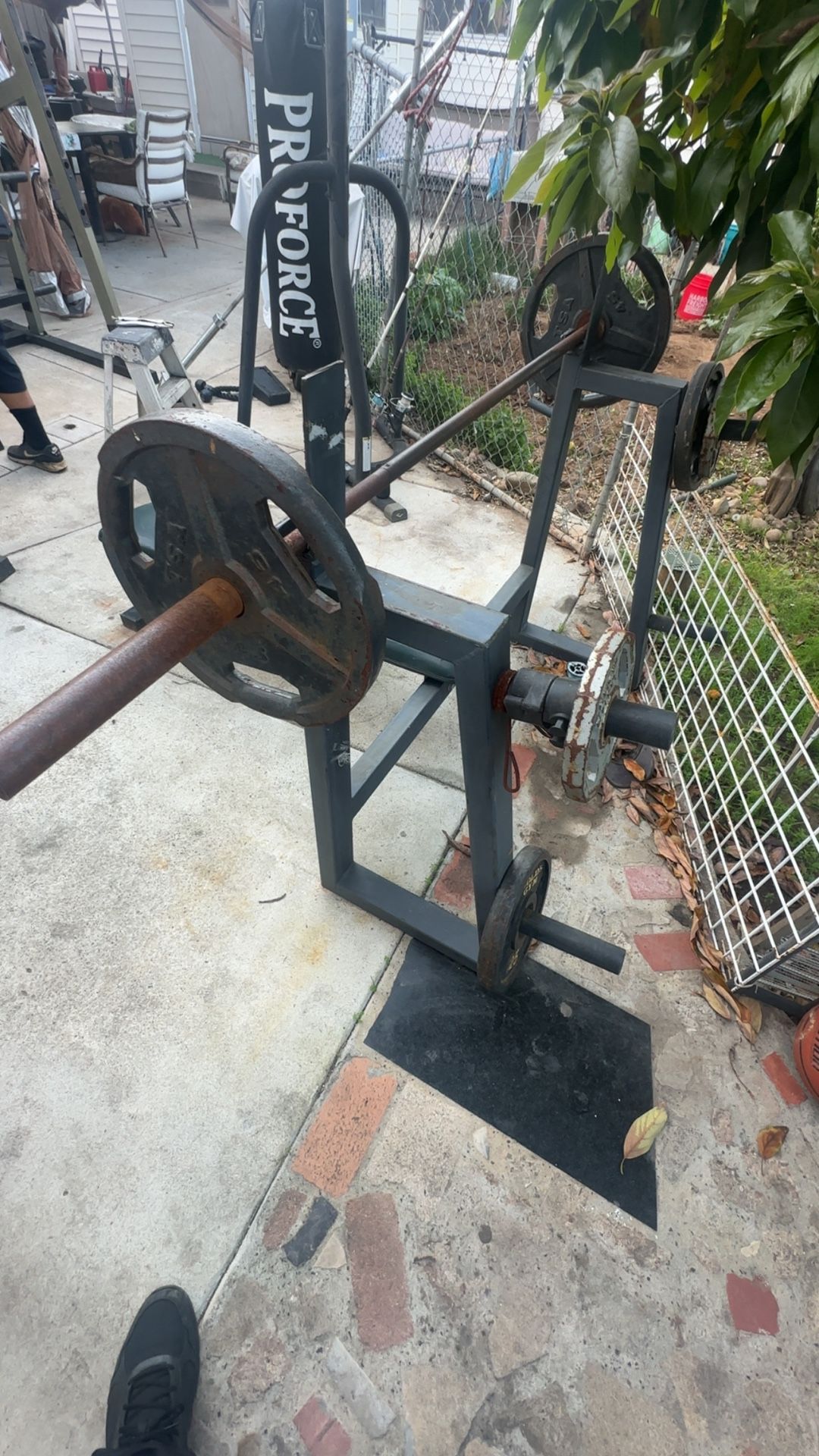 Bench Press