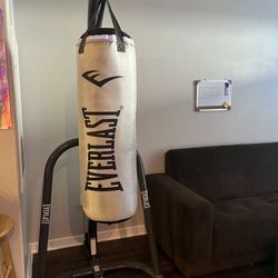 Punching Bag and Stand