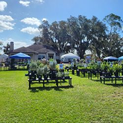Plant & Yard Sale Fri  Dec 6th - Sun 7th East Orlando