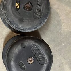 Two 20 Lb Dumbbell Weight Set 