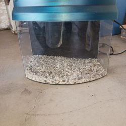 5 Gallon Aquarium 
