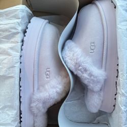 Lavender Fog Uggs 