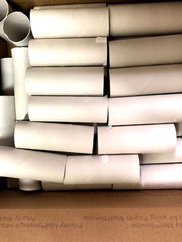 Toilet Paper Rolls for Crafting