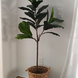Fake Plant