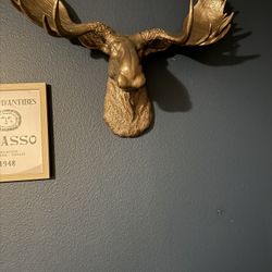 Head Faux Taxidermy Moose And Zebra Sculpture Wall Decor