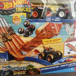 Hot Wheels Monster Trucks Racedown destruction.