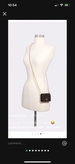 TikTok Mini Coach Bag