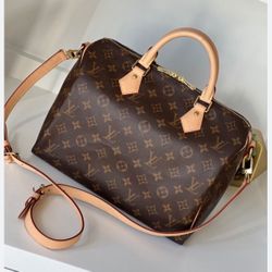 Louis Vuitton boundelier 