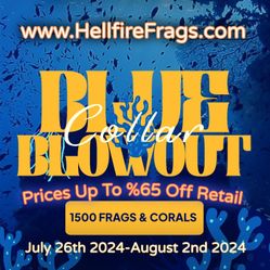 Lots Of Corals And Frags 🪸