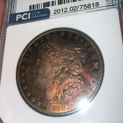 Morgan Dollar Toned Coin