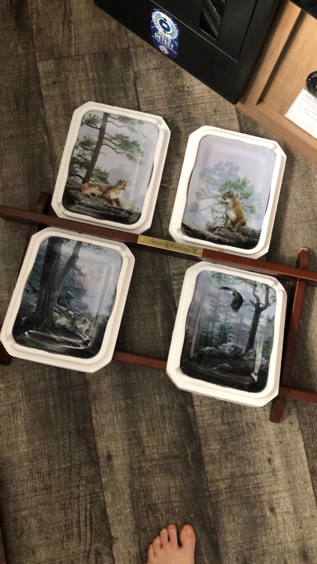Natures Harmony Collectors Plate Set!