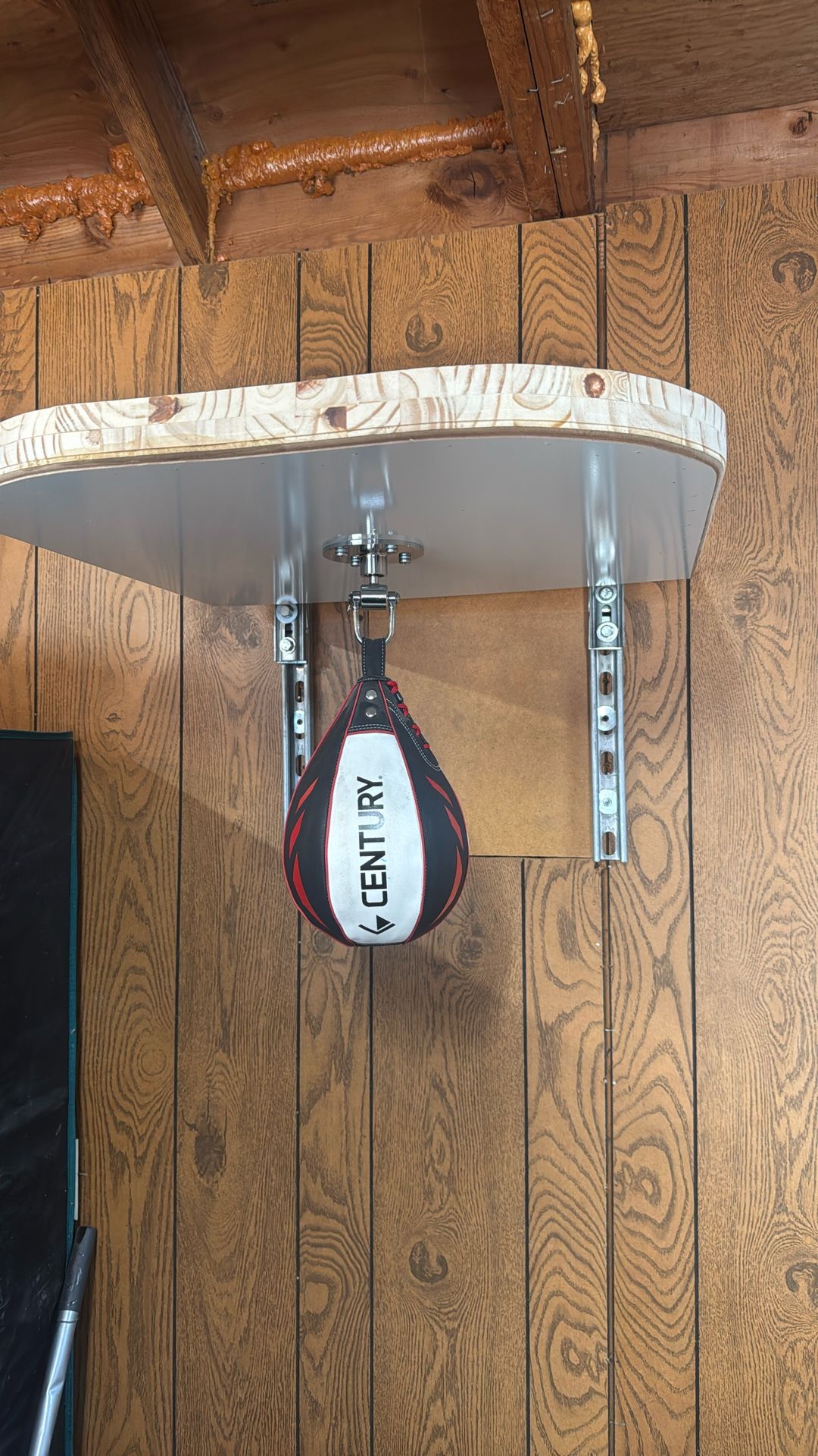 Custom Speed Bag Setup