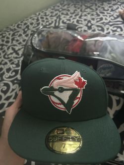 BLUE JAYS FITTED