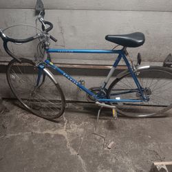 Vintage Schwinn Traveler Men 