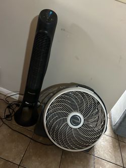 Fans
