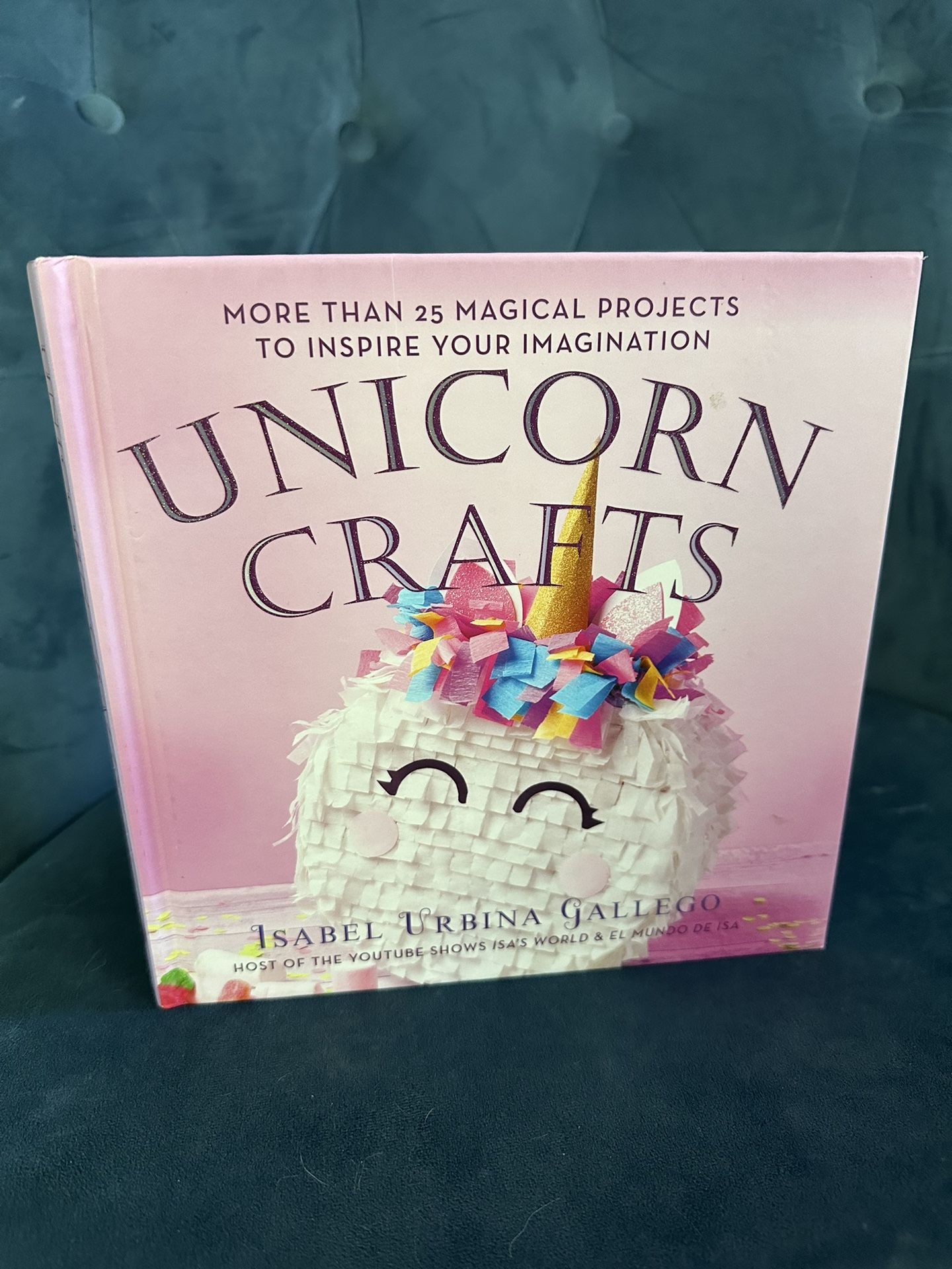 Unicorn Crafts Book (Like New)