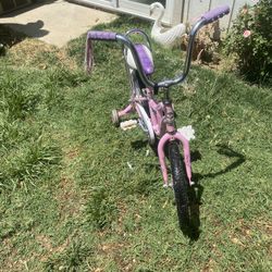 schwinn girl bike